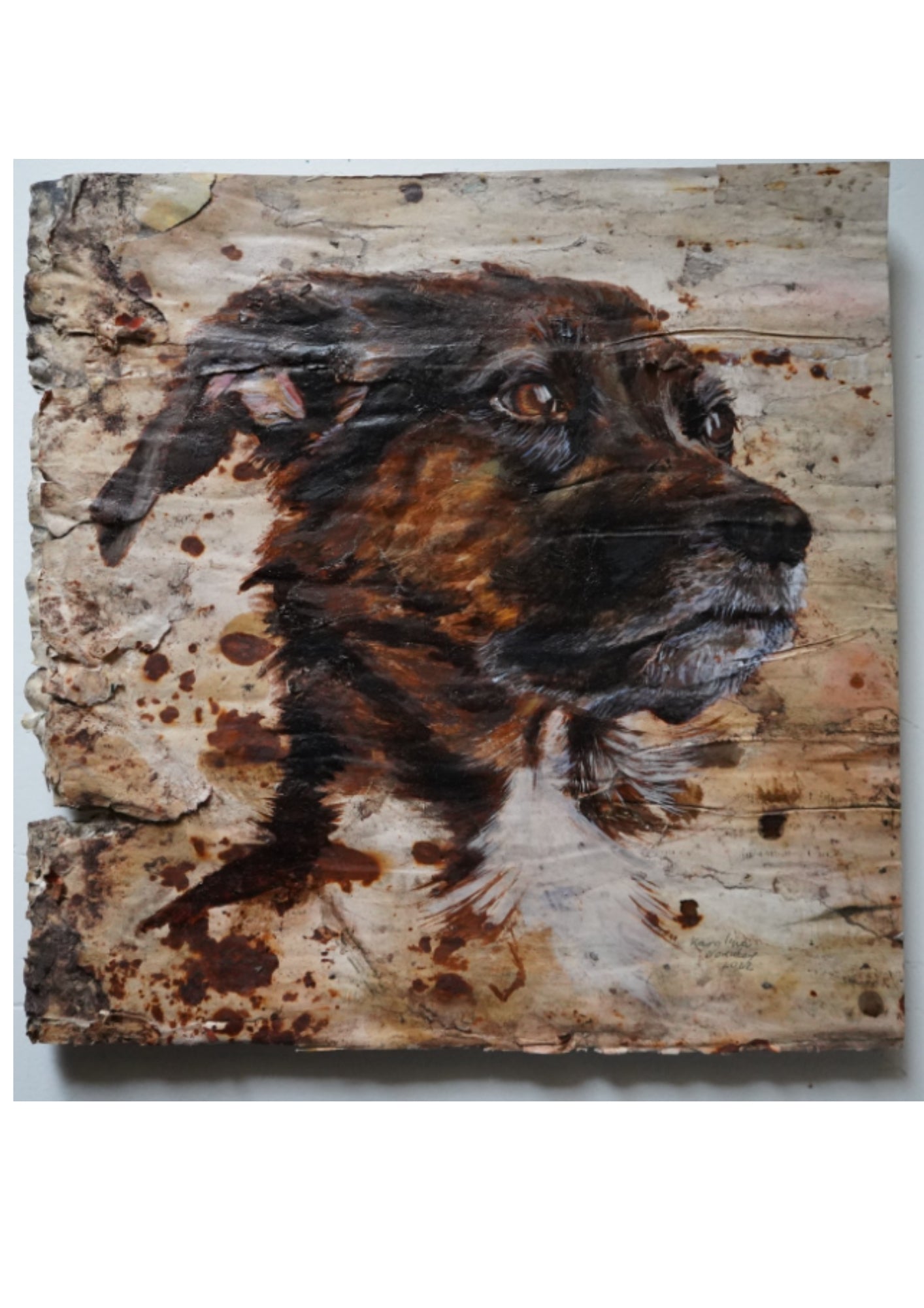Ritratto Animale a Olio su Commissione
