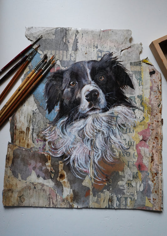 Ritratto Animale a Olio su Commissione